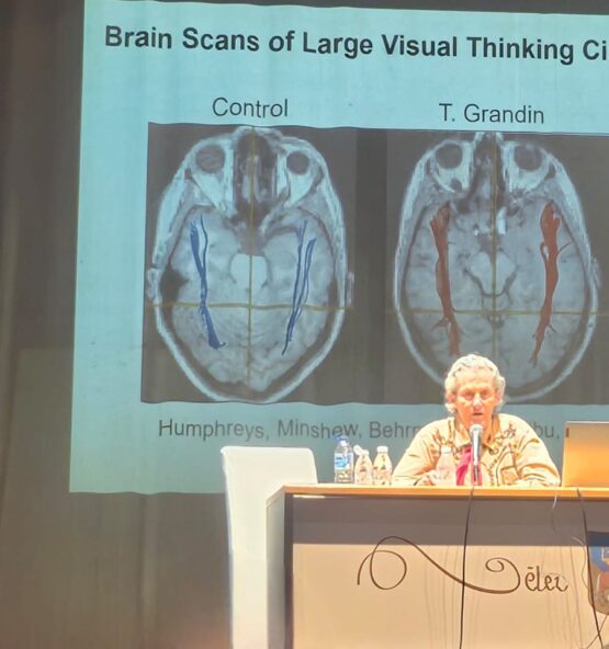 WhatsApp Image 2026-04-17 at 00.15.17